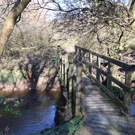 Hartland Hideaway Lodge Woolfardisworthy  Esterno foto